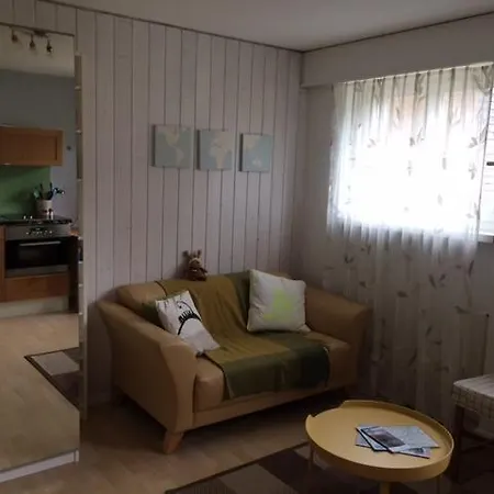 Studio Mit Einzelbett Interlaken